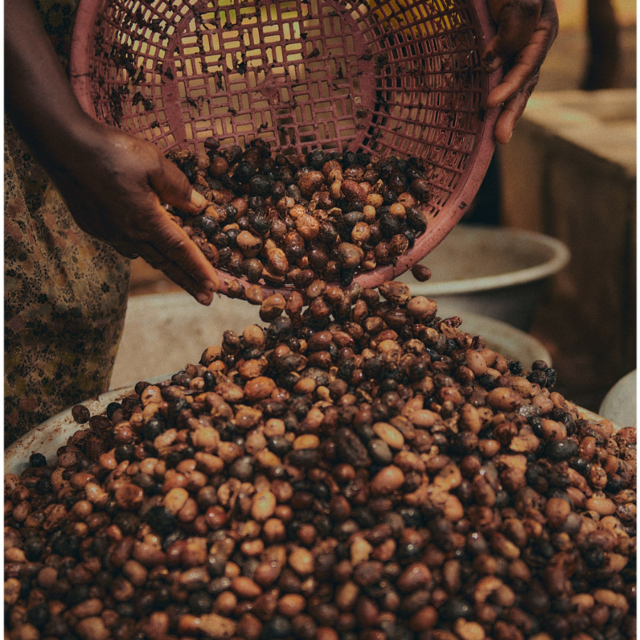 L'Occitane - Xmas 2025 - Shea Butter Discovery Collection