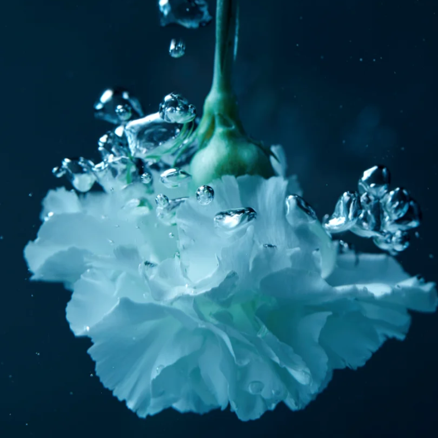 Morimoon - Ocean Bloom Fragrance Oil 10ml