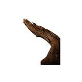 Cedar wood