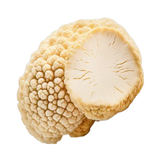 White Truffle