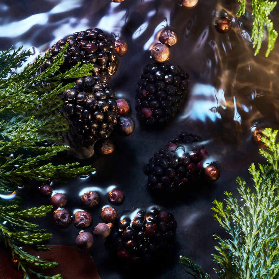 Roja Parfums - Elysium Noir Pour Homme EDP 100ml