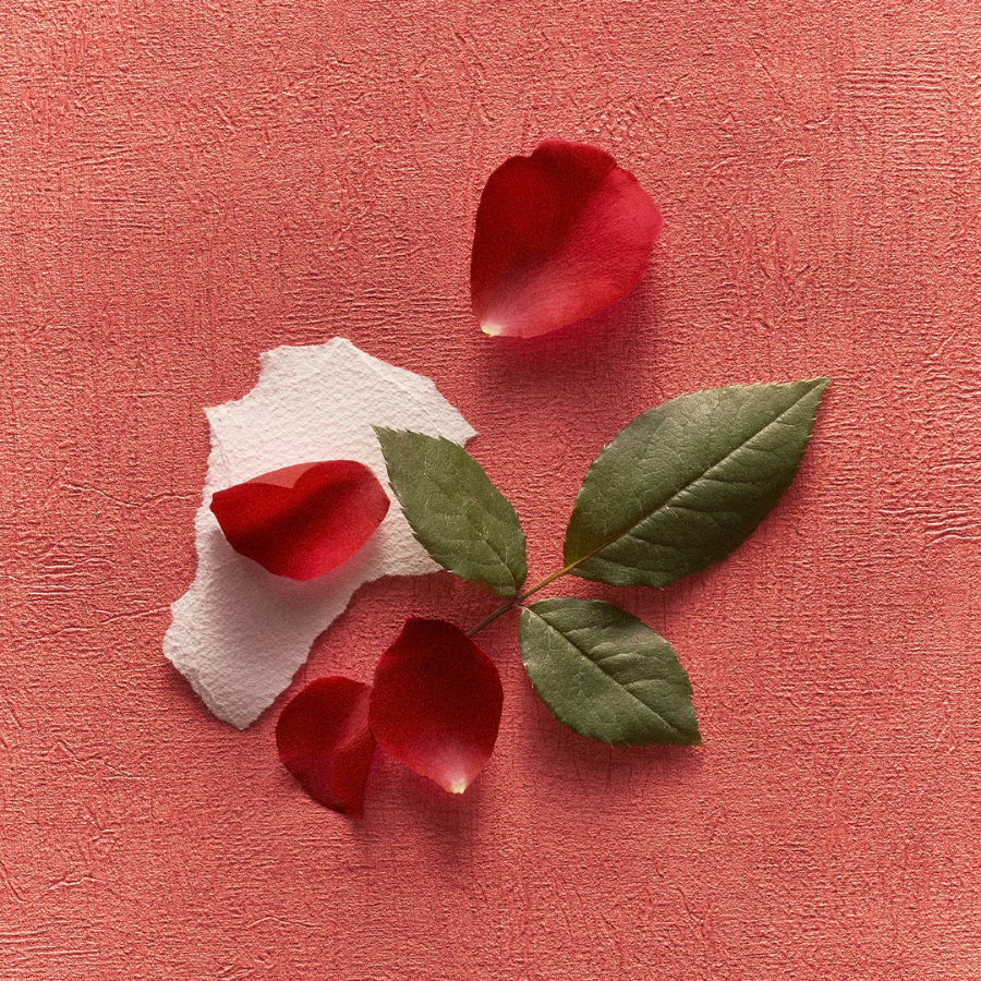 Roja Parfums - Nuwa EDP 100ml