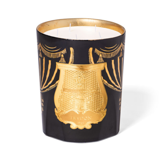 Trudon - Xmas 2024 - Fir Candle