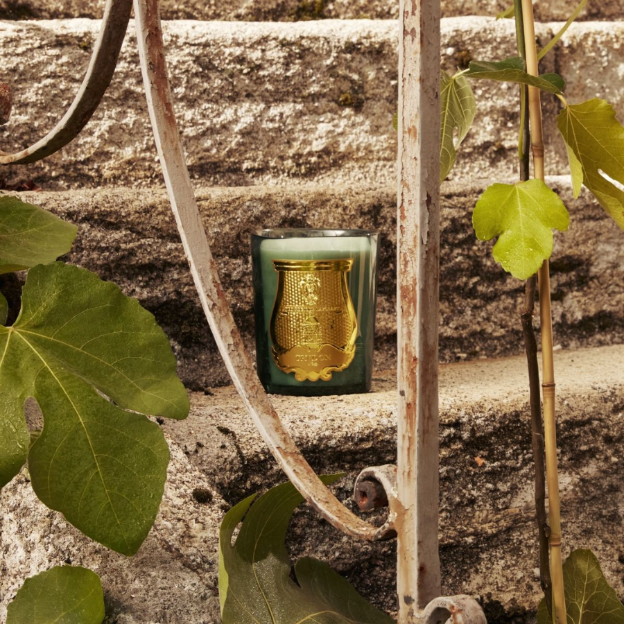 Trudon - Figuerie Candle