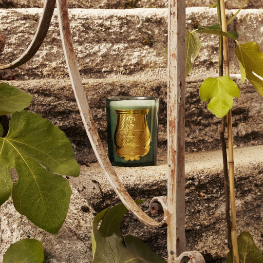 Trudon - Figuerie Candle