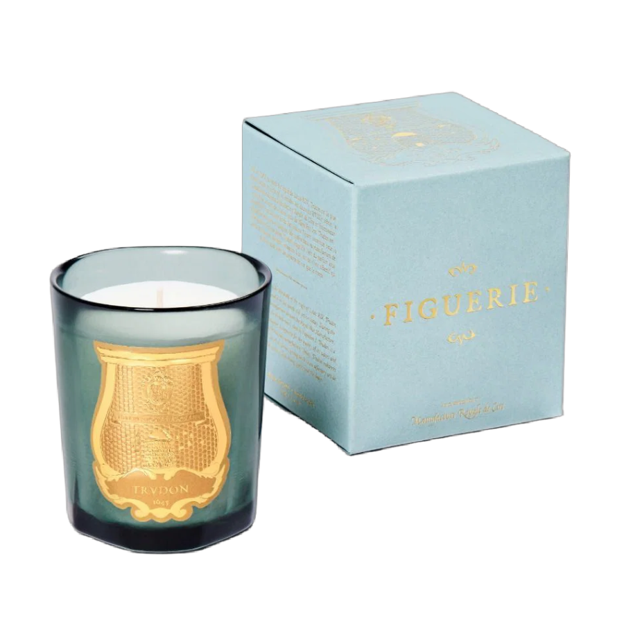 Trudon - Figuerie Petit Candle 70g