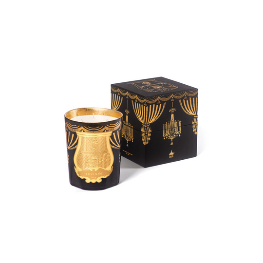 Trudon - Xmas 2024 - Fir Candle