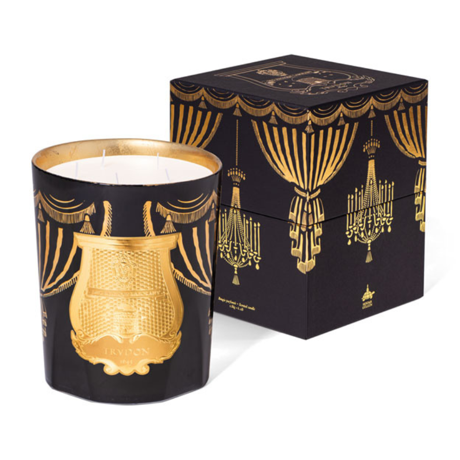 Trudon - Xmas 2024 - Fir Candle