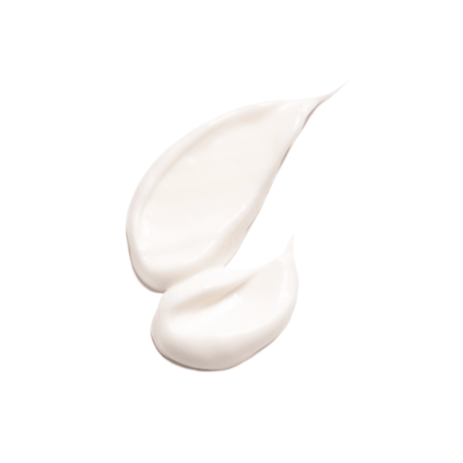 L'Occitane - Almond Hand & Nail Cream - Ascent Luxury Cosmetics