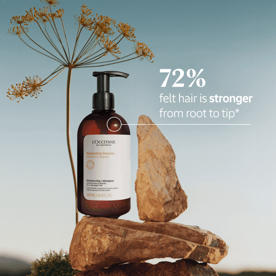 L'Occitane - Intensive Repair Shampoo 500ml  Ascent Luxury Cosmetics