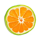 Green Mandarin Orange 