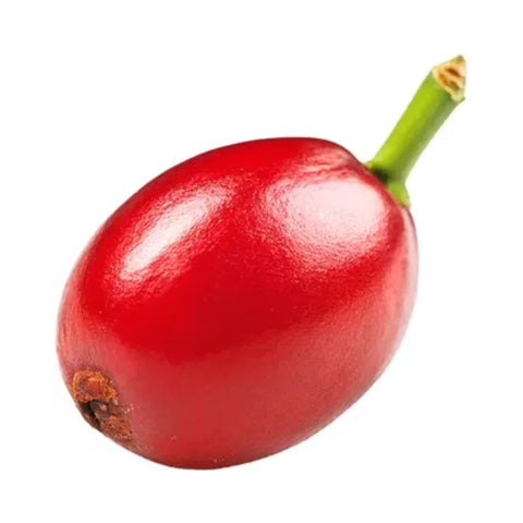 Coffee Berry
