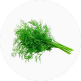 Dill