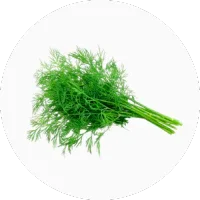 Dill
