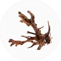 Driftwood