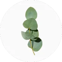 Eucalyptus