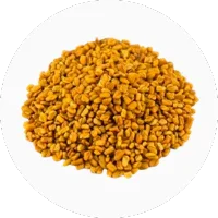 Fenugreek
