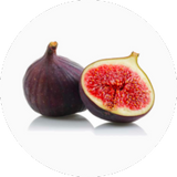 Fig