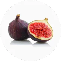 Fig