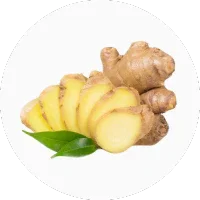Ginger