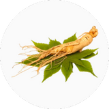 Gingseng