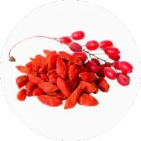 Goji Berry