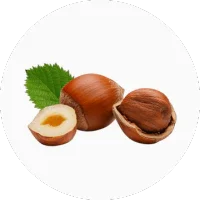 Hazelnut