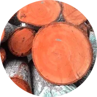 Mahogany