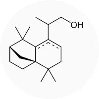 Ambermax
