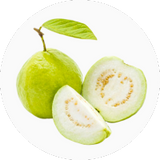 Guava