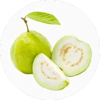 Guava