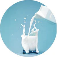 Milk