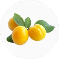 Mirabelle