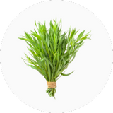 Tarragon