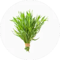 Tarragon