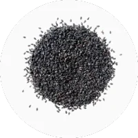 Sesame