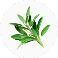 Sage