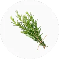 Rosemary