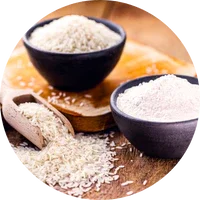 Rice