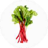 Rhubarb