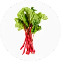 Rhubarb