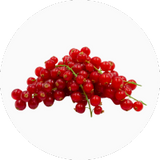 Red Currant