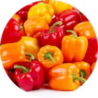 Pimento