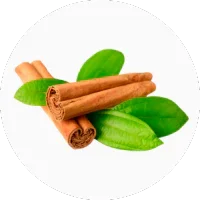 Cassia