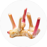 Galangal