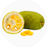 Jackfruit