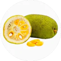 Jackfruit