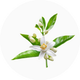 Neroli (Orange Blossom)