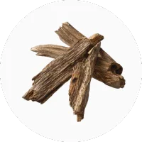 Oud (Agarwood)