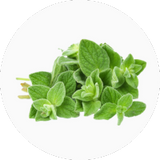 Oregano